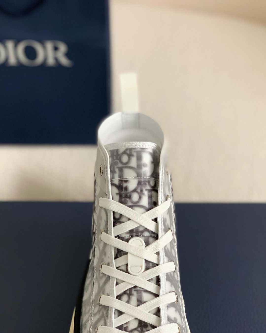 Dior B23 High-Top Sneaker in White & Grey Dior Oblique Transparent Technical Canvas