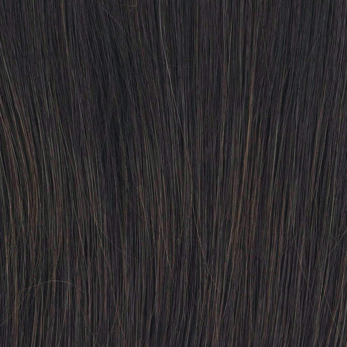 Raquel Welch Bella Vida Wig